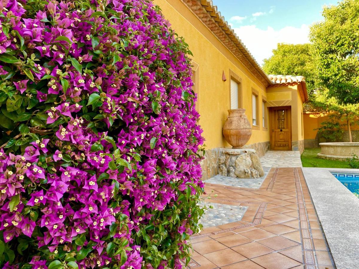 Casa Rural Via Del Tranvia La Zubia  Exteriör bild